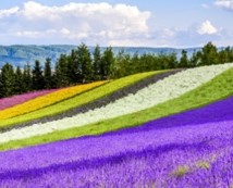 ぐるなび、訪日外国人に人気の施設を部門別ランキング形式で発表